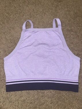 aerie Lavender High-Neck Ribbed Crop Bralette